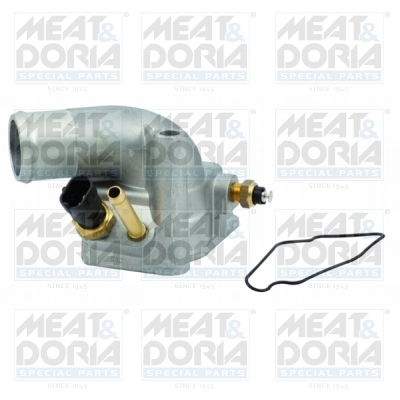 Thermostat, coolant